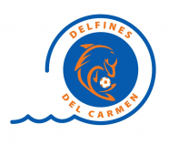 Delfines del Carmen