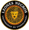 Leones Negros