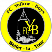 Yellow Boys Weiler