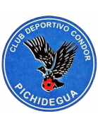 Condor de Pichidegua