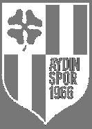 Aydinspor