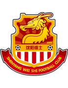 Shenyang Weishi