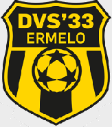 DVS 33