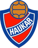 Haukar