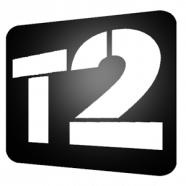 T2