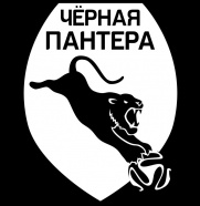 Чёрная пантера