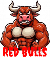 Red Bulls