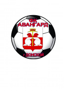 Авангард 2013