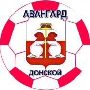 Авангард 2013