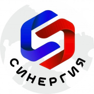 Синергия 2016