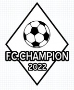 ФШ Champion 2015 (ст. Крыловская)