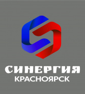 Синергия 2013