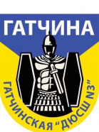 ФК Гатчина 2011
