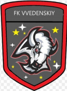 ФК "Vvedenskiy"