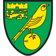 Norwich City-2