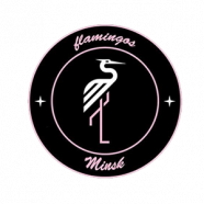 Flamingos