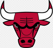 Bulls