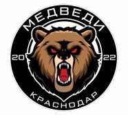 Медведи-23