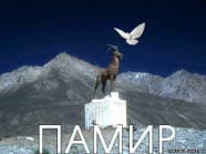 ФК "Памир"