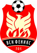 ВСН-Феникс-Д