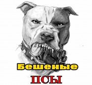 ФК Бешеные псы