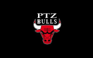 Ptz Bulls