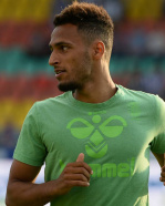 Hany Mukhtar