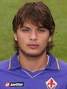 Adem Ljajic