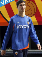 Nikola Zigic