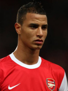 Marouane Chamakh