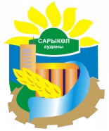 РДЮСШ Сарыкольский район 2010