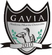 Gavia Choszczno 2011